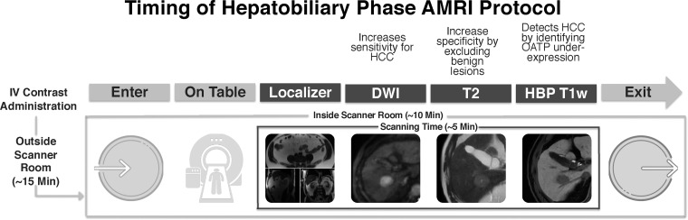 Illustration shows timing of the HBP abbreviated MRI (AMRI) protocol. DWI = diffusion-weighted imaging, IV = intravenous,T1w = T1-weighted.