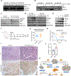 Figure 6: