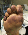 Fig. 2