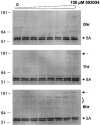 FIG. 5.