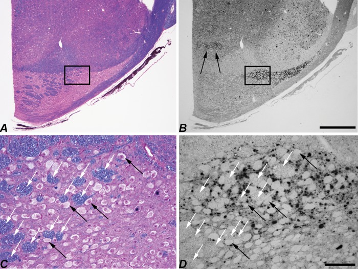 FIGURE 10.