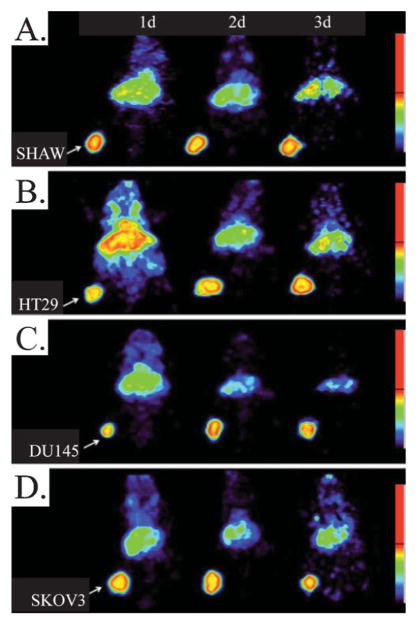 Fig. 8