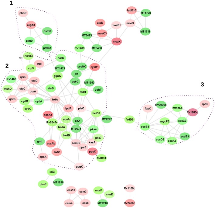 Figure 6