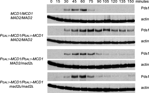 FIGURE 4: