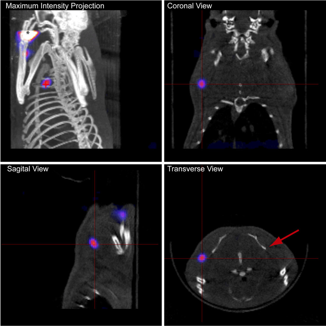 FIGURE 3