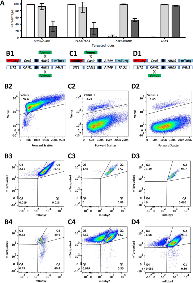 Figure 2.