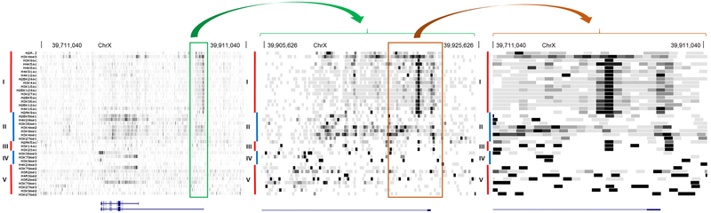 Figure 2: