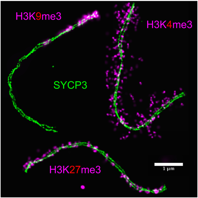 Figure 3: