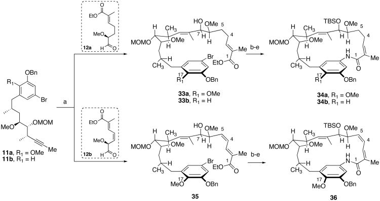 Scheme 6