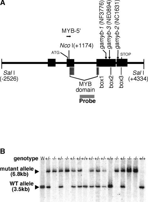 Figure 1.