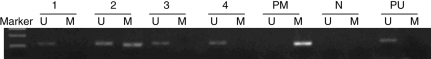 Fig. 2.