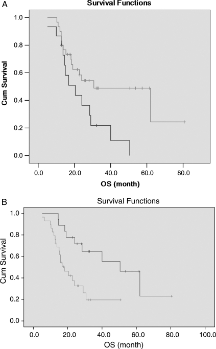 Fig. 3.