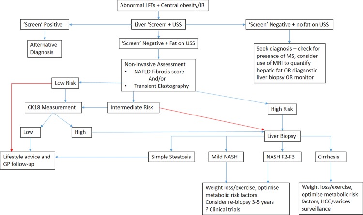 Figure 1