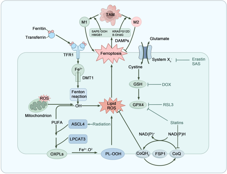 Figure 5