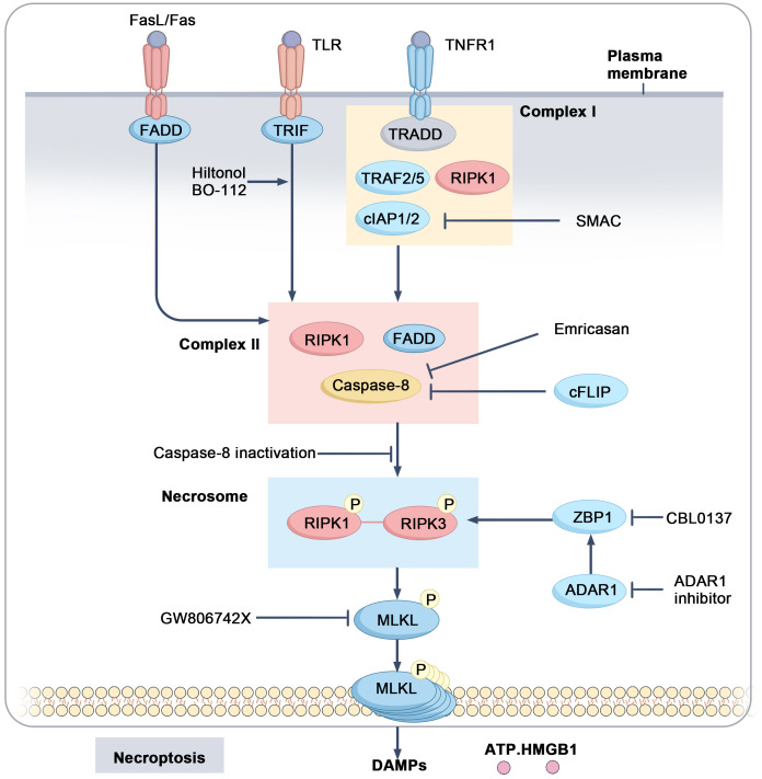 Figure 3