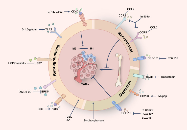 Figure 6