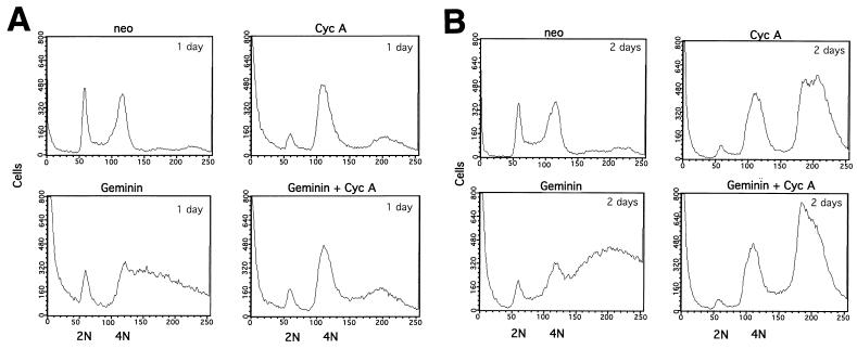 FIG. 8.