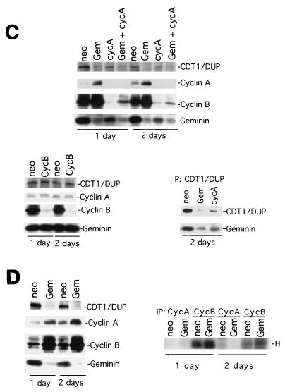 FIG. 8.