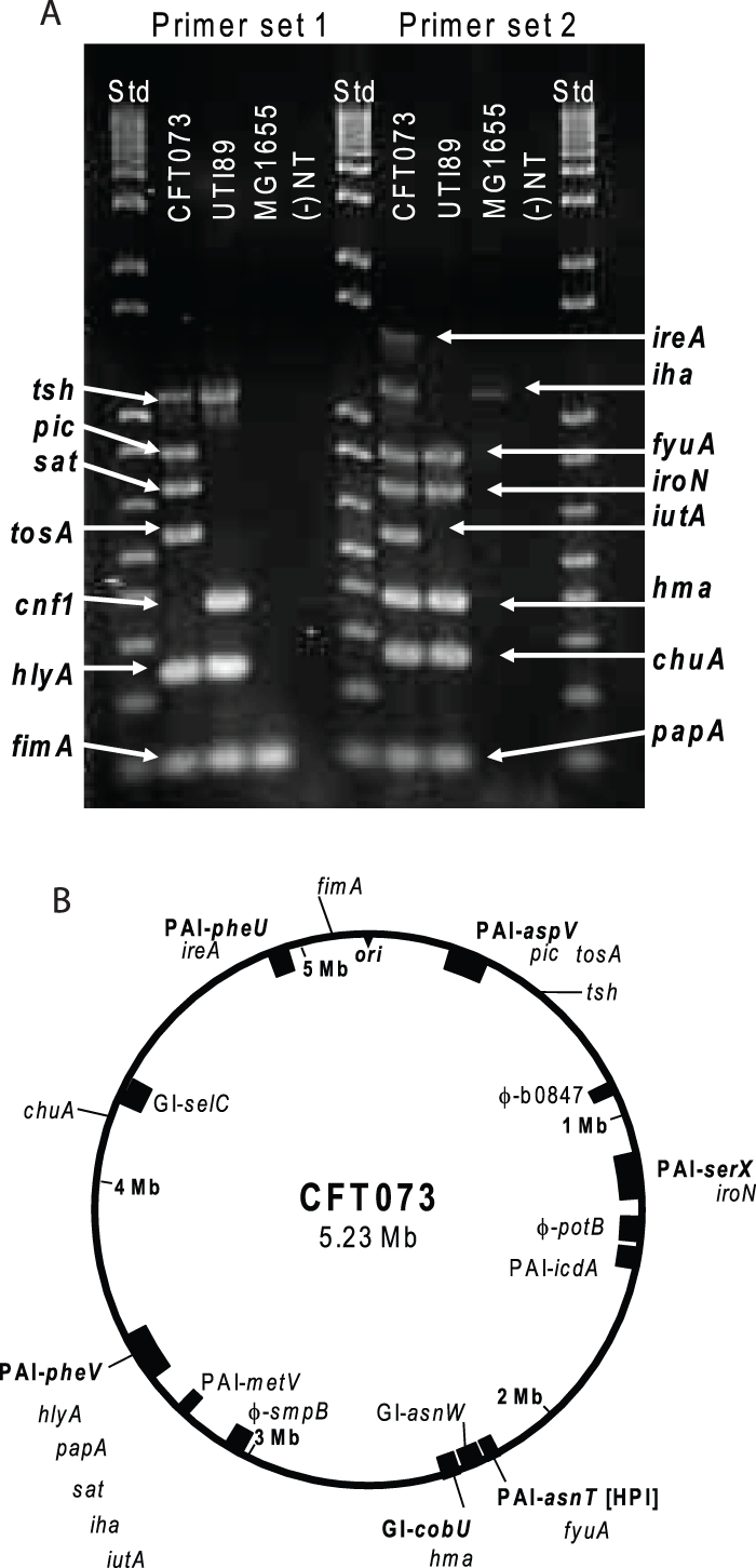 FIG 1 