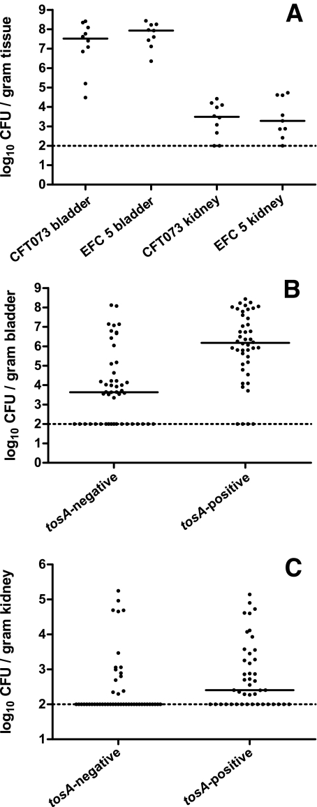 FIG 2 