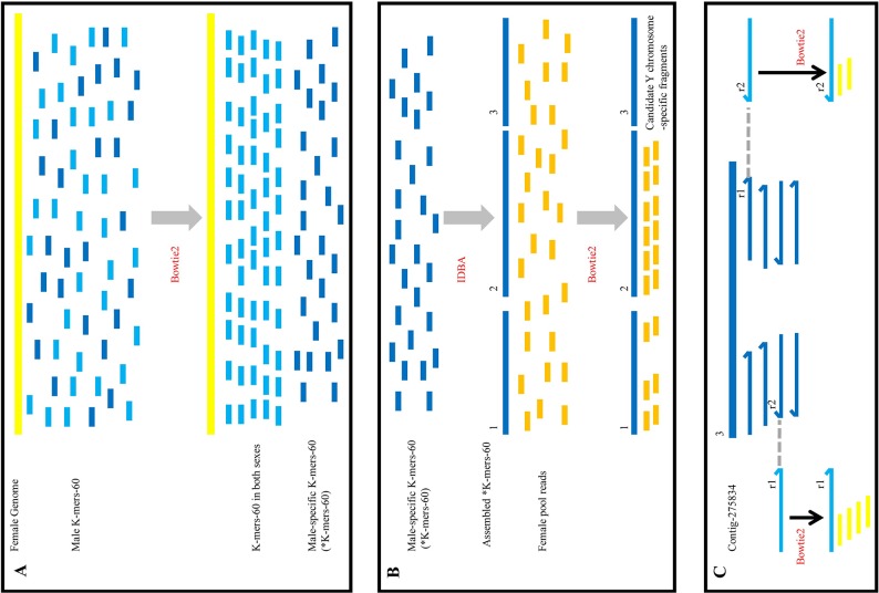 Figure 5