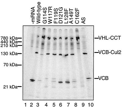 FIG. 5.