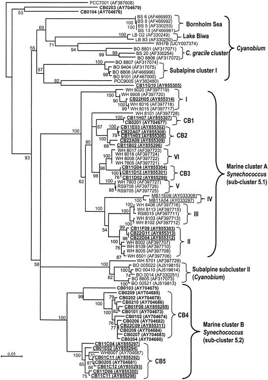 FIG. 1.