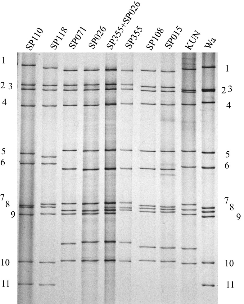 Fig. 1