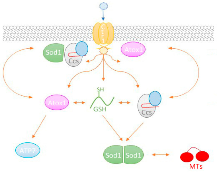 Figure 2