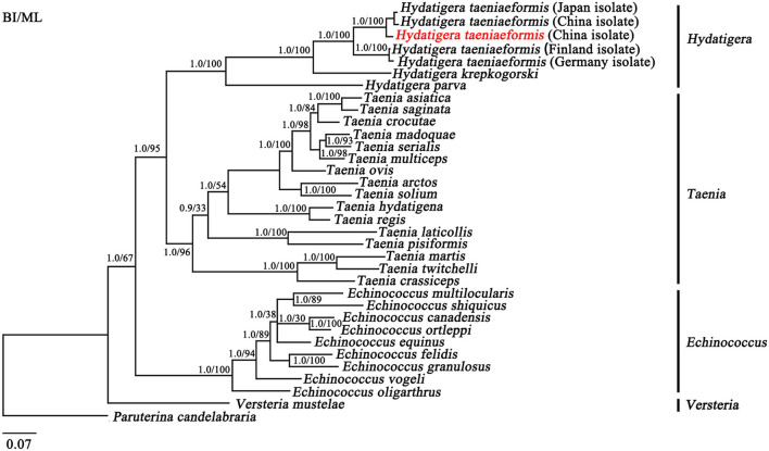 Figure 2