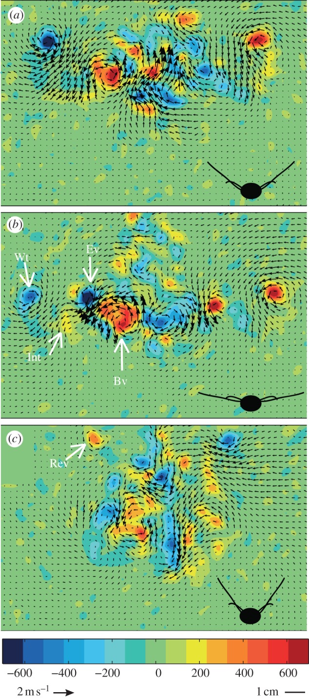 Figure 1.