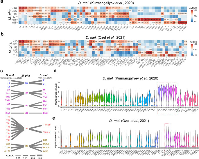 Extended Data Fig. 6