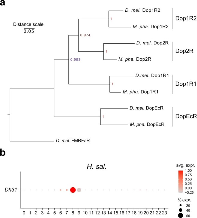 Extended Data Fig. 8