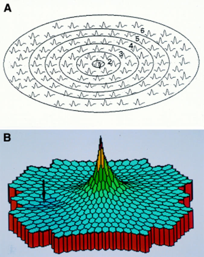 Figure 1  