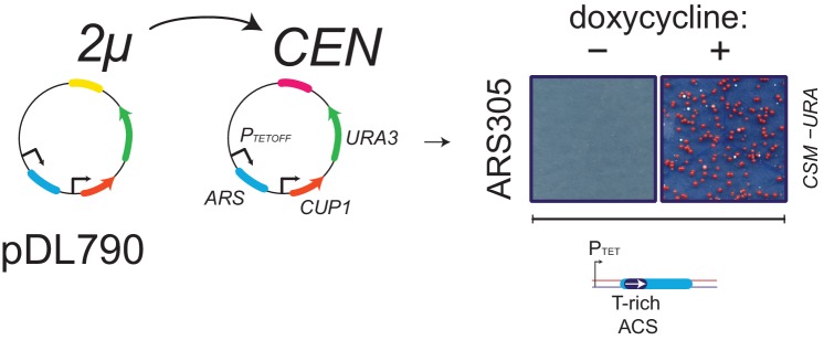 Figure 3—figure supplement 1.