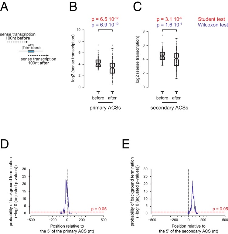 Figure 1—figure supplement 2.