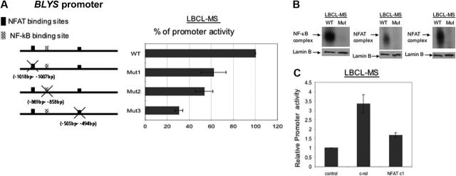 Figure 7.