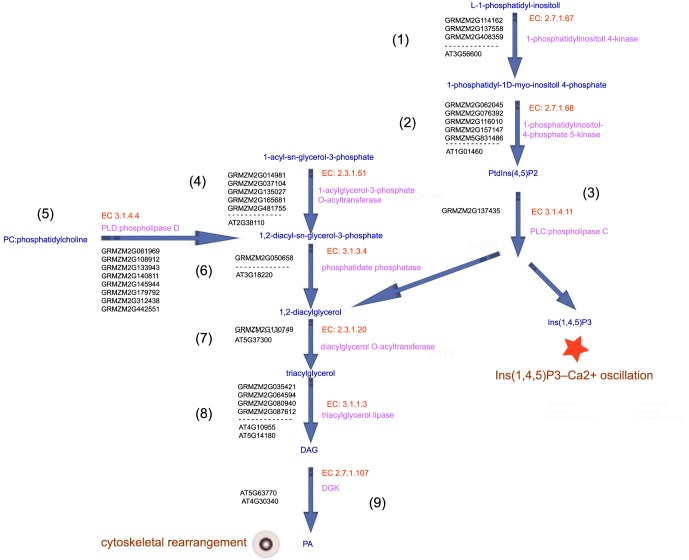 Figure 10