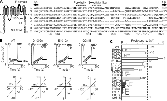 FIGURE 1.