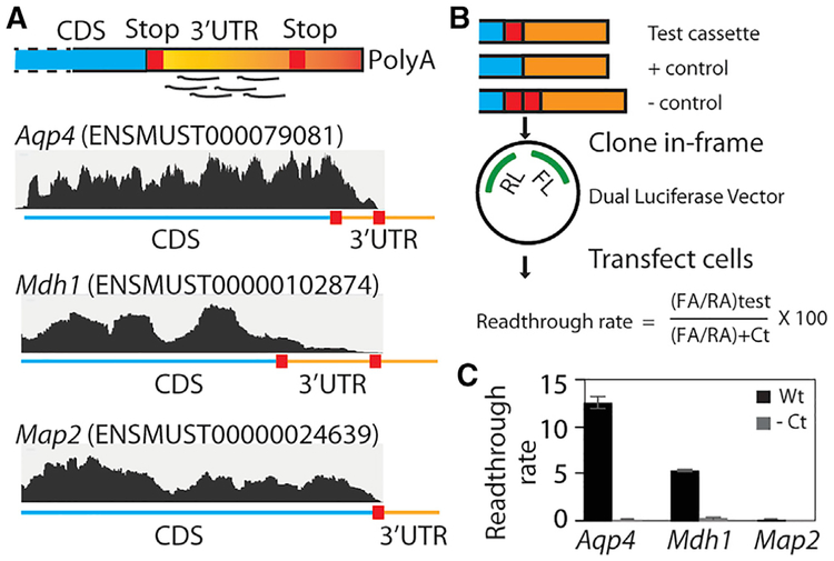 Figure 4.