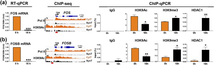 Figure 10.