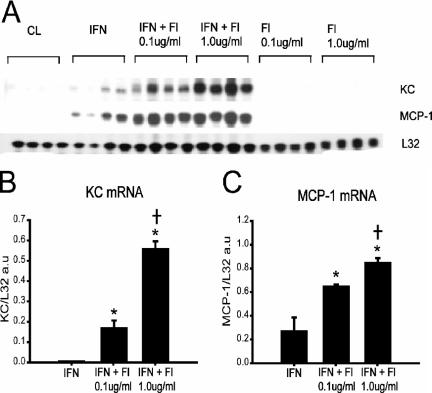 FIG. 3.