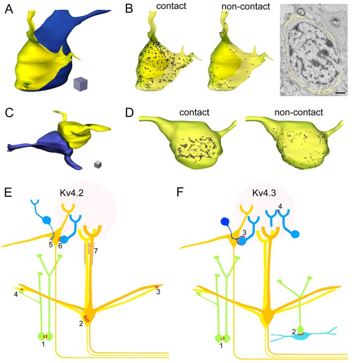 Fig. 8