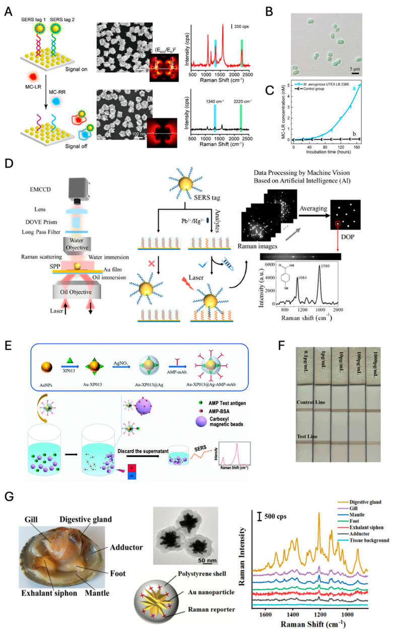 Figure 11