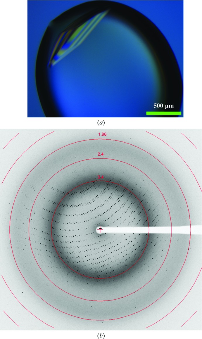 Figure 2