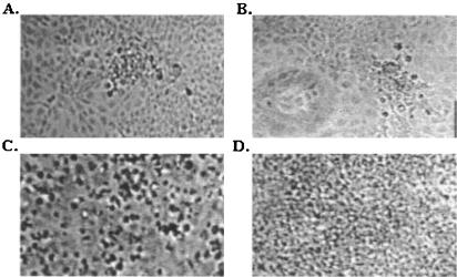 FIG. 7.