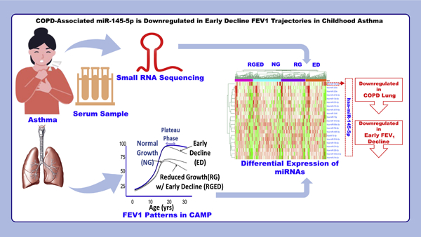 graphic file with name nihms-1672385-f0001.jpg