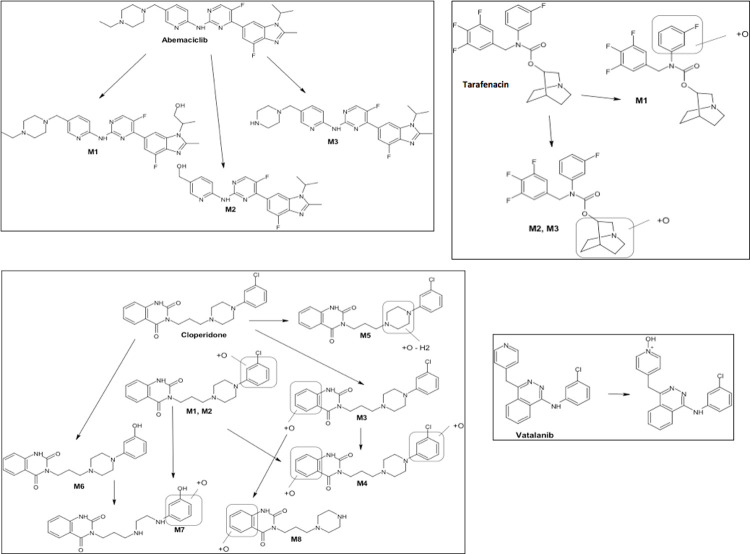 Fig 5