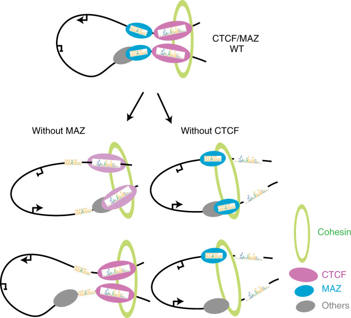 Fig. 7