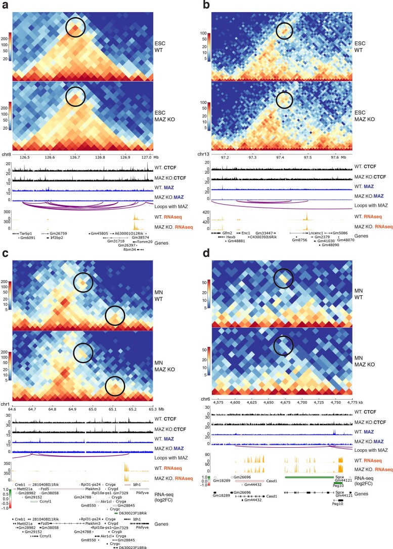 Extended Data Fig. 9